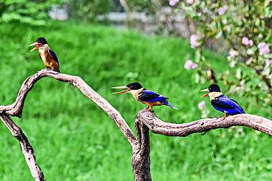 《真三国无双8：帝国》CJ试玩 制作人铃木亮浩专访